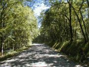 road near the gite Quercy Lot France and Saint Cirq Lapopie
